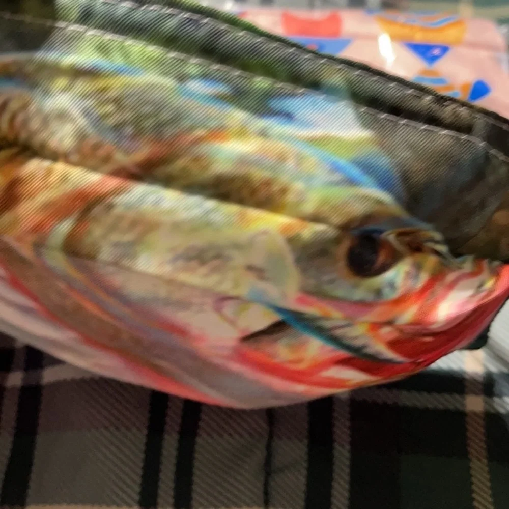 New set/2 fish face masks